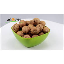 Natural drying paper shell walnut for hot sale